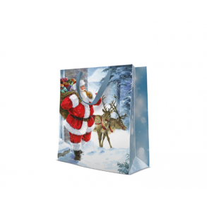 Gavepose -  Santa is Coming