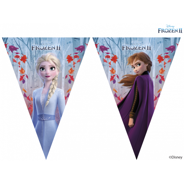 Banner - Frost 2 - 2,3 m