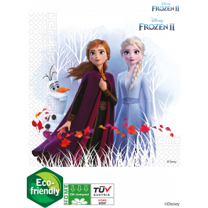 Servietter - Frost 2 - 33x33 cm - 20 stk.